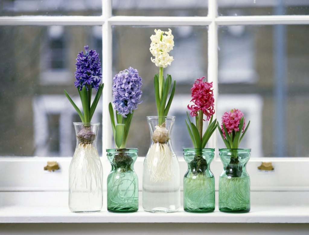 Як стильно оформити> </p>
<h2>Фотографії або мініатюри картин в рамках</h2>
<p> А чому б пам’ятним фотокарткам не опинитися на вашому безликому підвіконні. Якщо немає бажання, щоб сторонні люди заглядали у вікна та бачили вас та ваших близьких, то поміняйте фотографії на невеликі постери чи мініатюри картин відомих художників. <br /><noscript><img decoding= Як стильно оформити вікно