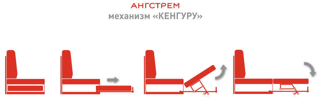 kenguroo (1).png