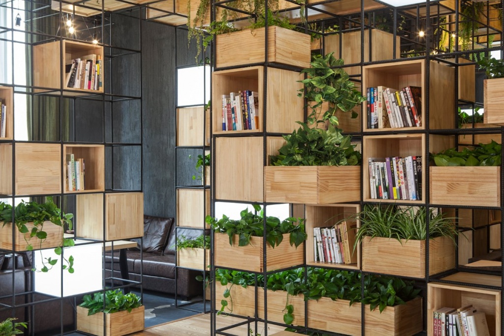 plants