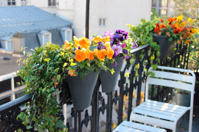 flowers