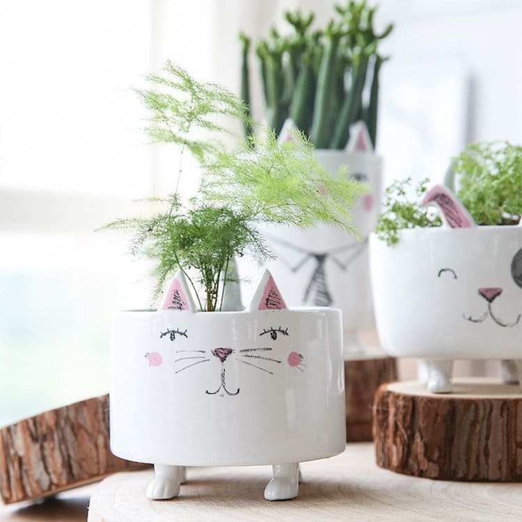 https://mymodernmet.com/wp/wp-content/uploads/2025/10/gifts-for-cat-lovers-12.jpg